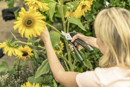 AstschereBypassEasypruneSoftcaseBoschHomeAndGarden AstschereBypassEasypruneSoftcaseBoschHomeAndGarden