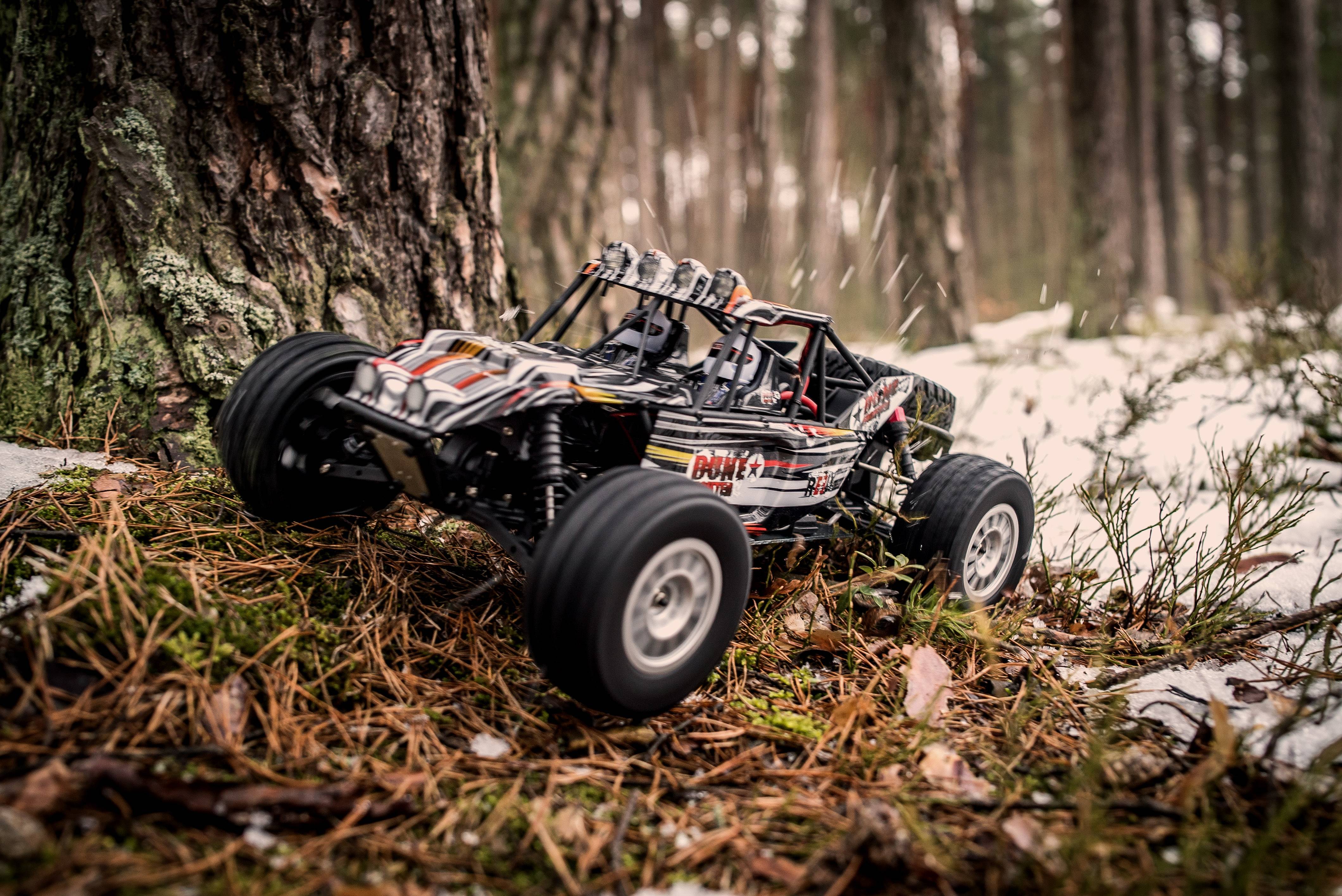 Model RC 1 10 Buggy Reely Dune Fighter FS53625 2 4 GHz 4WD RtR