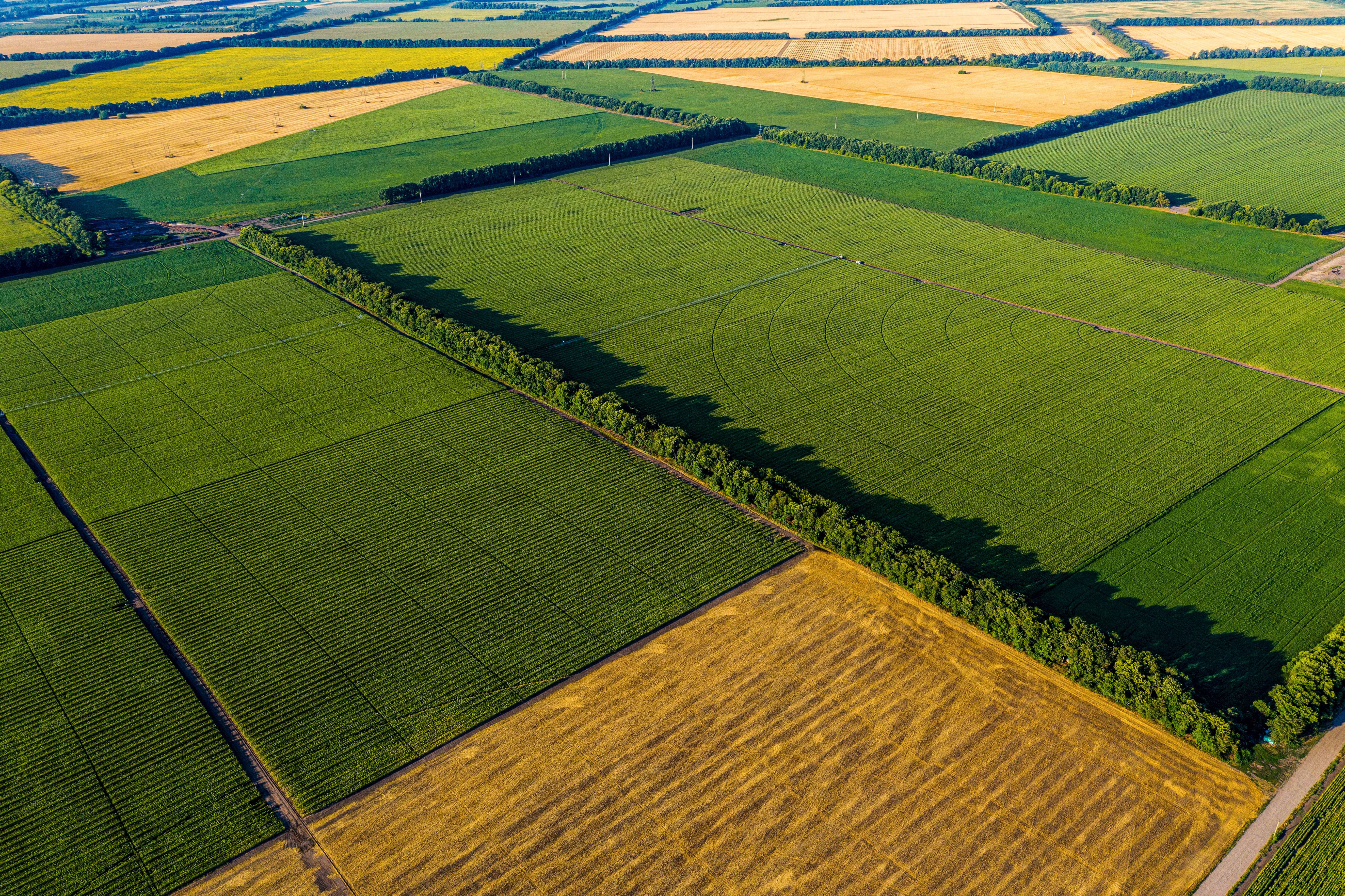 Luftaufnahme von landwirtschaftlichen Feldern, die durch Baumreihen getrennt sind. Die Felder zeigen verschiedene Wachstumsstadien oder Pflanzentypen in Grün- und Gelbtönen, was durch den Einsatz eines Luftfeuchtemessgeräts zur Ertragsoptimierung beeinflusst wurde.