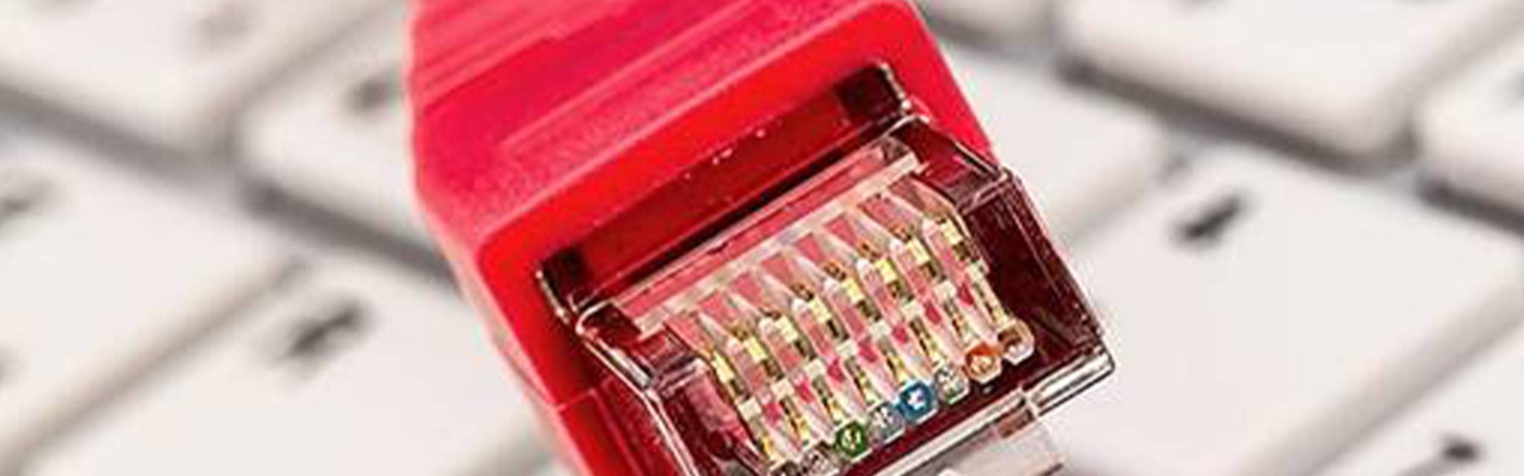 RJ45-Stecker für den Netzwerkanschluss