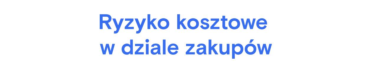 Niebieski tekst „Ryzyko kosztów w zakupach” na jasnoszarym tle. Brak rozpoznawalnego linku do strony.