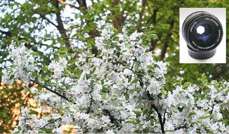 Spiegelreflexkamera Blendenwert 4