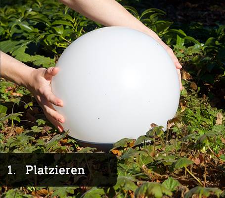 1. Platzieren