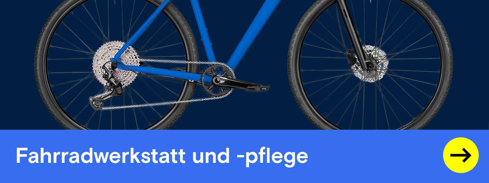 Fahrradwerkstatt und -pflege: Blaues Rad an Wandhalterung.