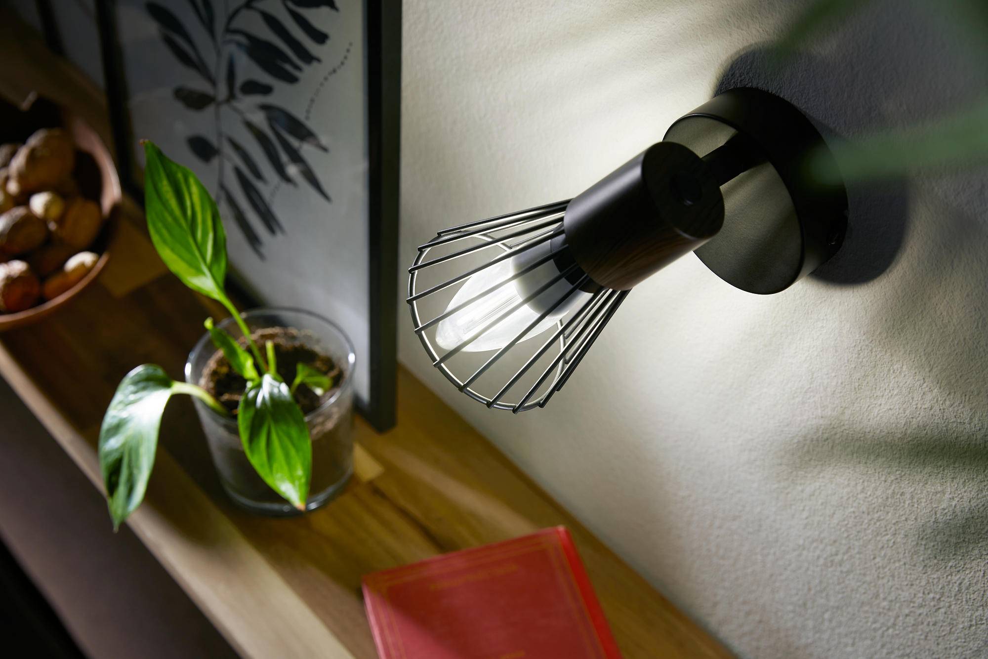 Philips LED