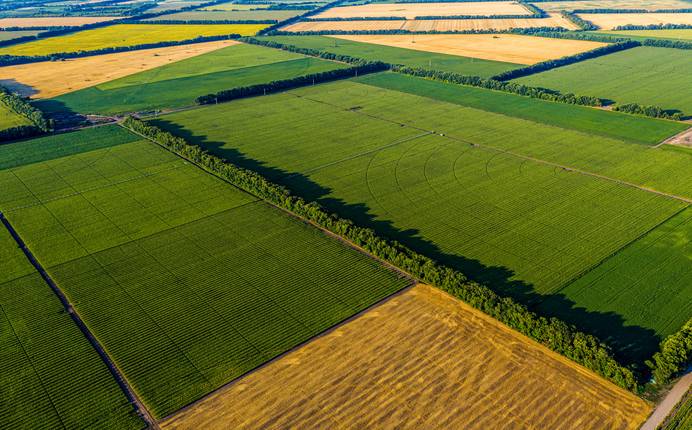 Landwirtschaftliche Flächen leiden besonders unter dem Klimawandel