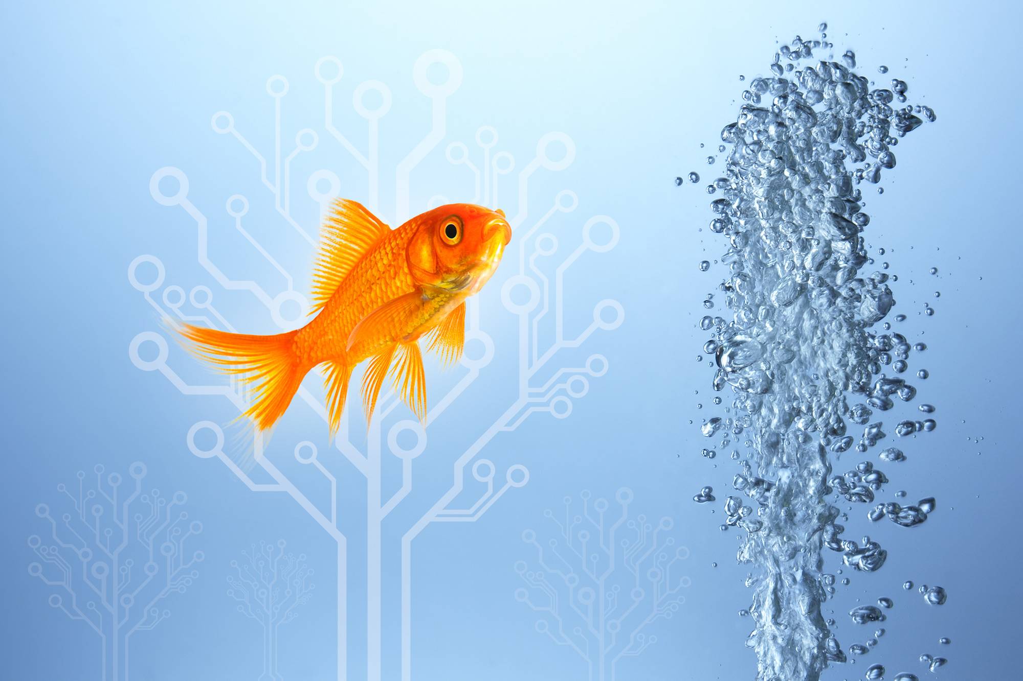 Rybky pod kontrolou – Kontrolní panel pro Siemens LOGO! Díl 2