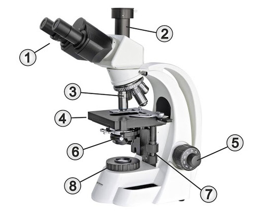 Einzelteile eines Auflichtmikroskops