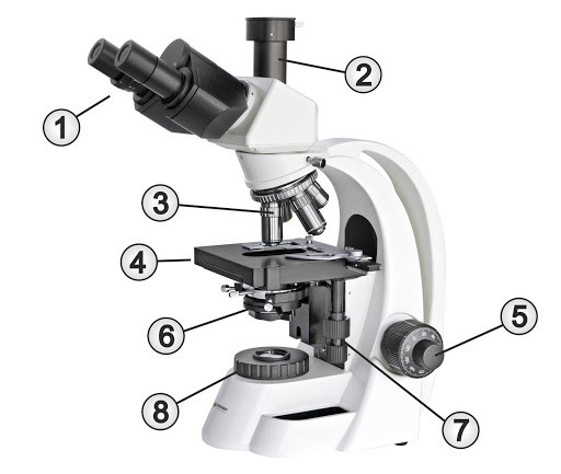 Funktionsweise Auflichtmikroskop