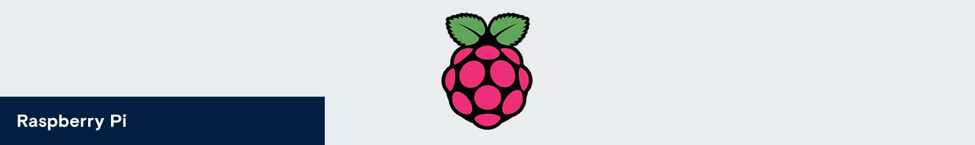 Raspberry Pi