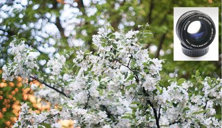 Spiegelreflexkamera Blendendwert 16