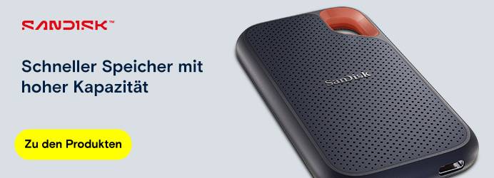 SANDISK - Schneller Speicher mit hoher Kapazität