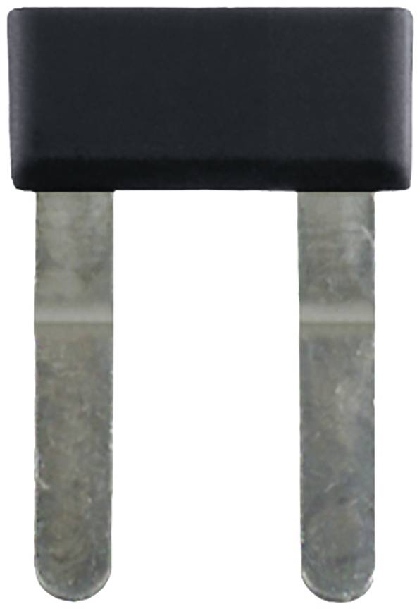 Plochá dvoupólová pojistka s černým plastovým pouzdrem a dvěma kovovými kontakty.