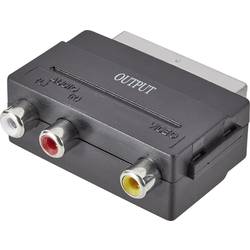 SCART / cinch adaptér SpeaKa Professional SP-1300844, čierna