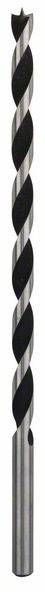 Bosch Accessories 2608597189 spirálový vrták do dřeva 10 mm Celková délka 250 mm válcová stopka 1 ks
