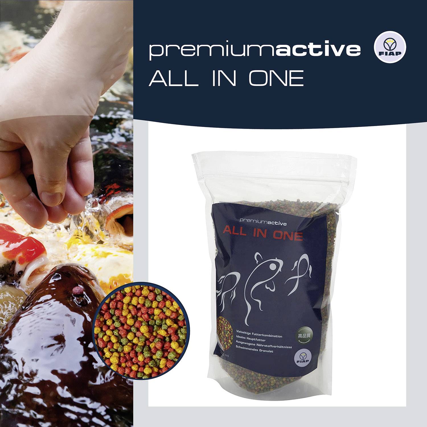 Koi ryby žerou krmivo přímo z ruky; vpravo ukazuje balení propagované rybí krmivo 'Premium Active All in One'.