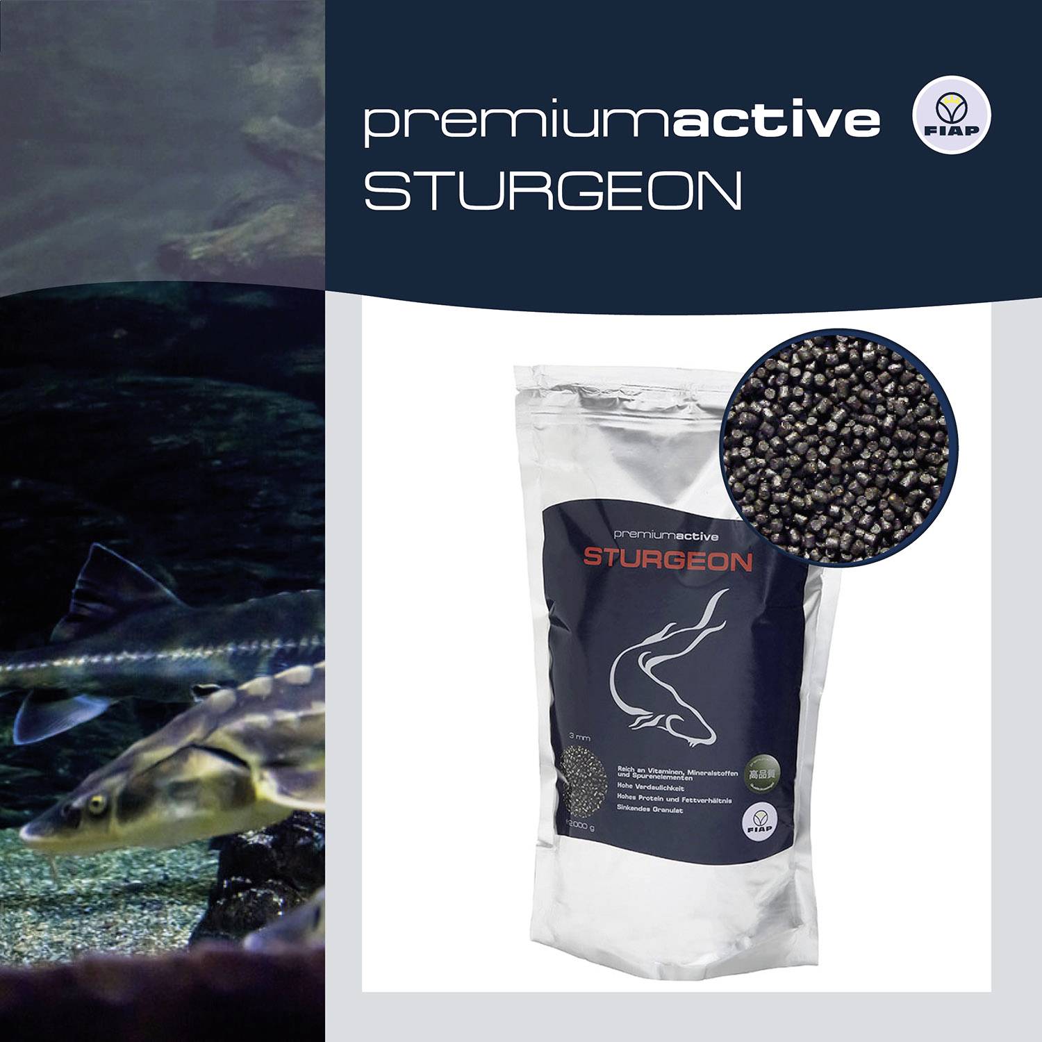 Reklama na krmivo pro ryby: Premium Active Sturgeon. Obsahuje obrázek jeseterů a pytel s granulovaným krmivem pro jesetery.