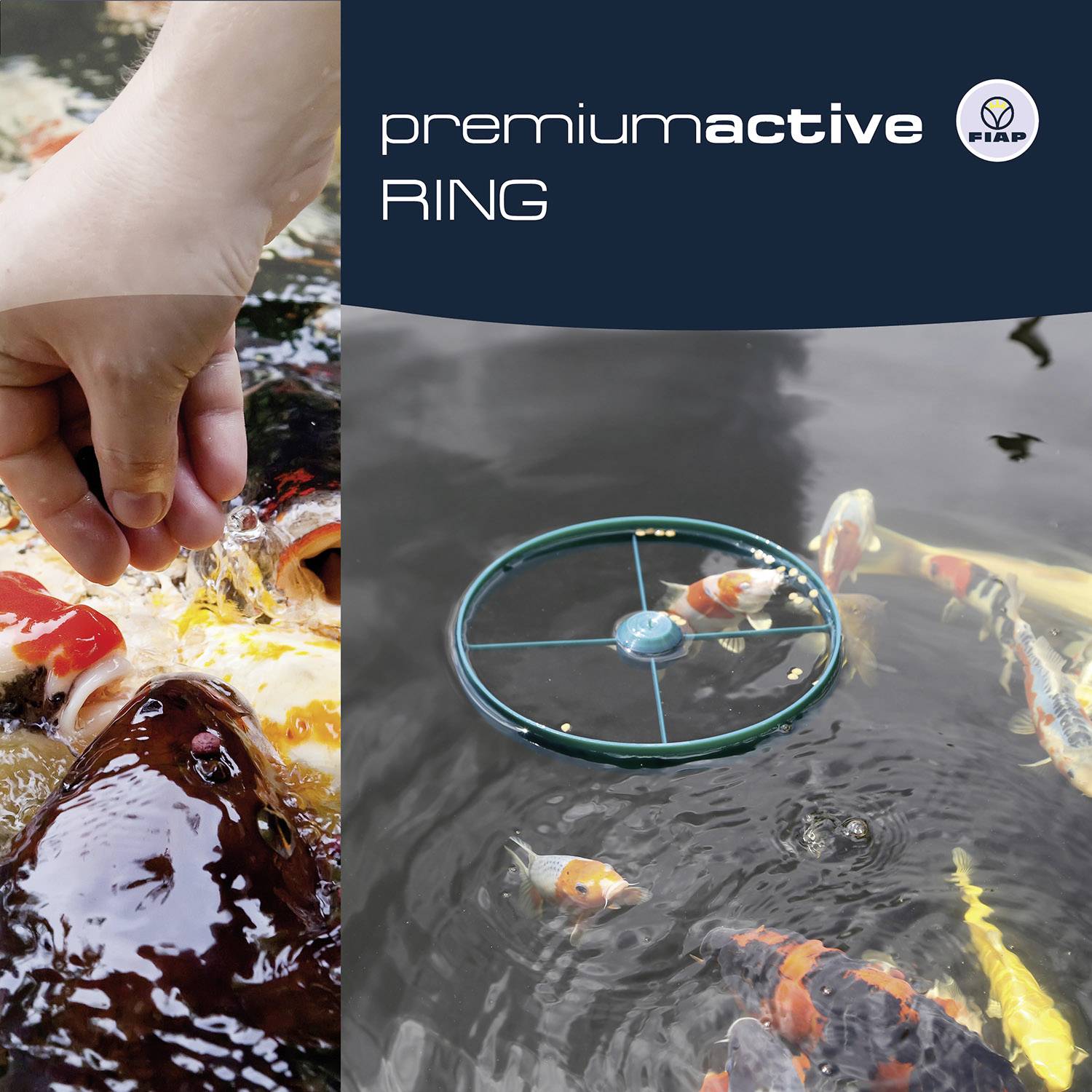 Rybník, ve kterém ryby chňapají po potravě, s rukou, která hází krmení do vody. Vlevo nahoře je napsáno 'premiumactive RING'.