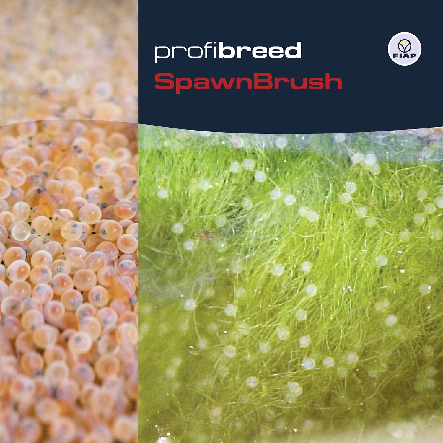 Snůška a rostlinná výzdoba v akváriu, vlevo oranžová vejce, vpravo zelený rostlinný porost. Nahoře text 'profibreed SpawnBrush'.
