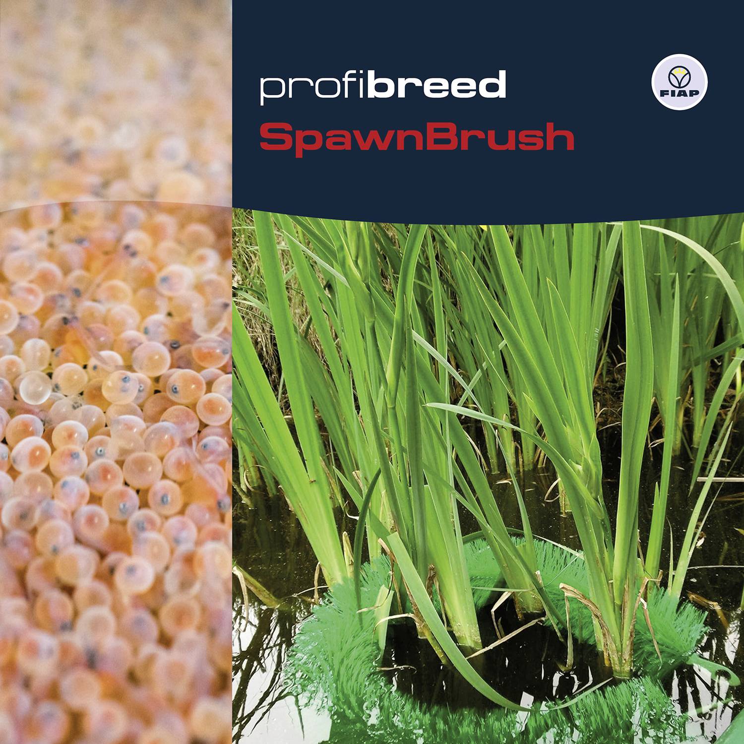 Levý obrázek: Mnoho oranžových rybích vajíček. Pravý obrázek: Hustý zelený rákos. Text: 'profibreed SpawnBrush' a logo 'FIAP' v pravém horním rohu.