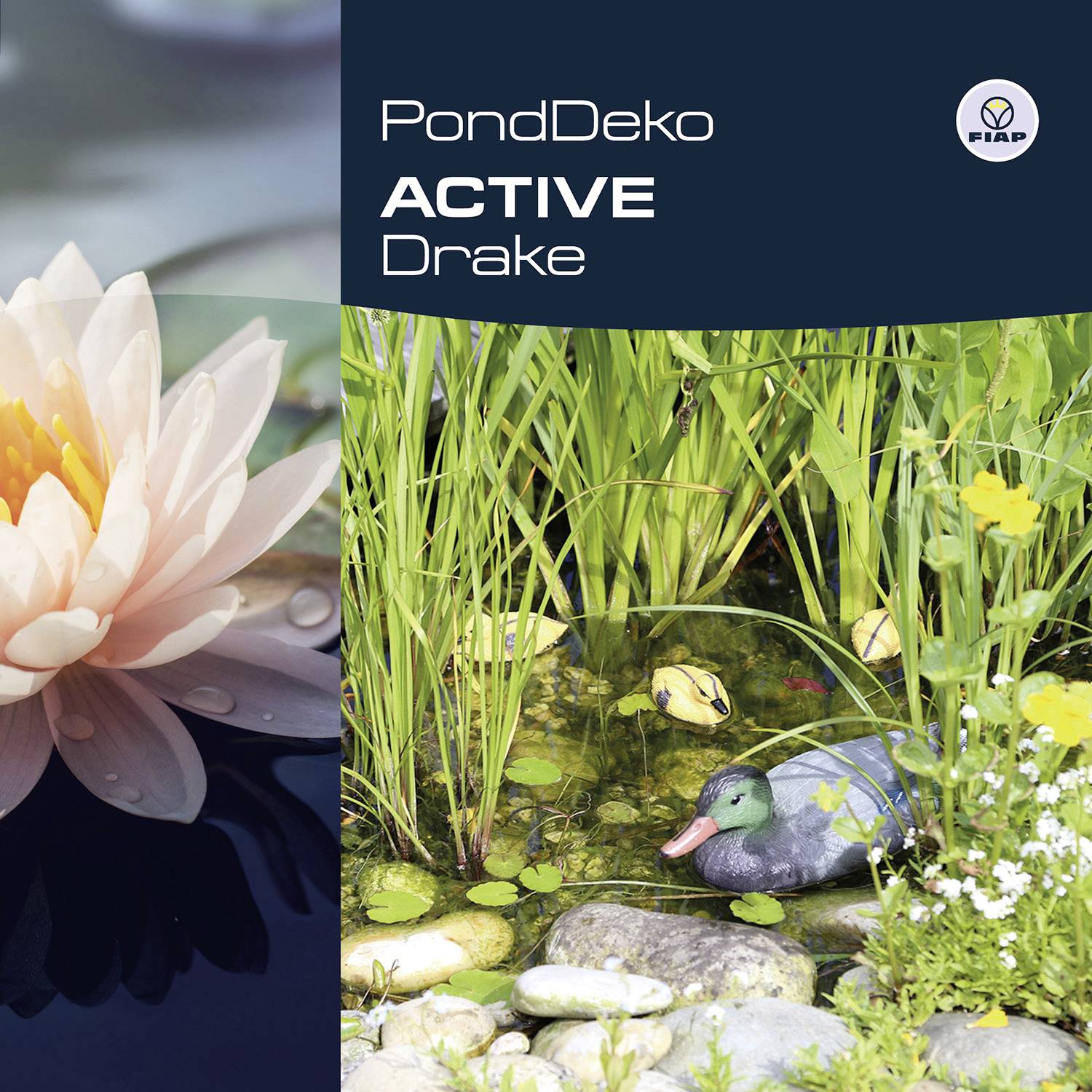 Obal produktu 'PondDeko Active Drake' s motivem květin vlevo a rybníkem s plovoucím párkem kachen vpravo, logo FIAP v horním pravém rohu.