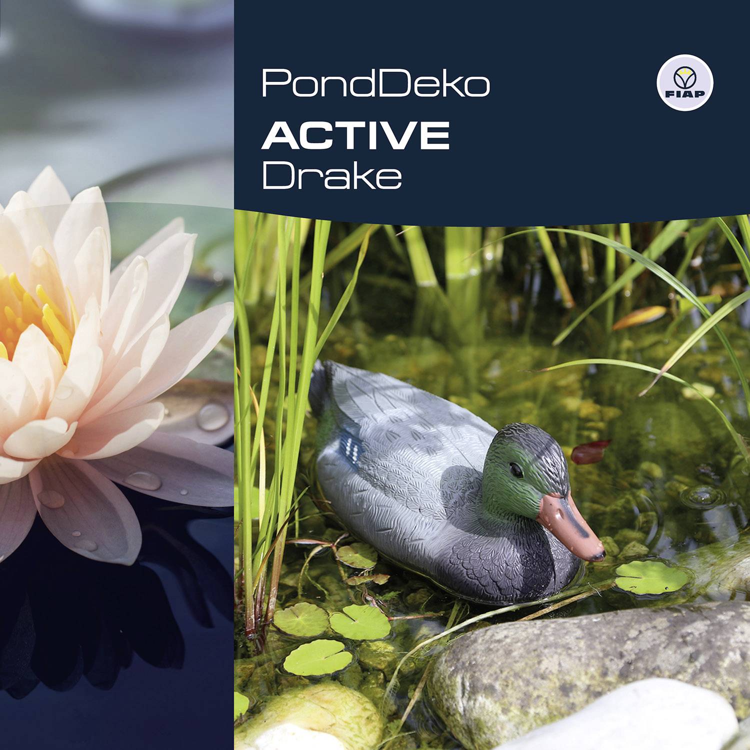 Zahradní jezírko s plovoucí kachnou a lotosovým květem. Nahoře v obraze stojí 'PondDeko Active Drake'.