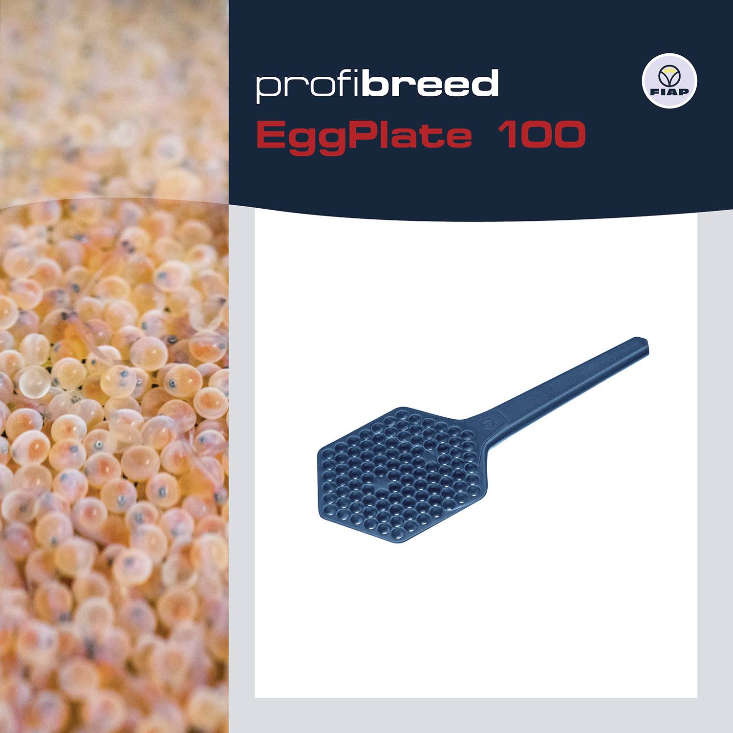 Reklama 'ProfiBreed EggPlate 100'. Zobrazuje modrou desku na vejce vedle obrázku s velkým množstvím rybích jiker.