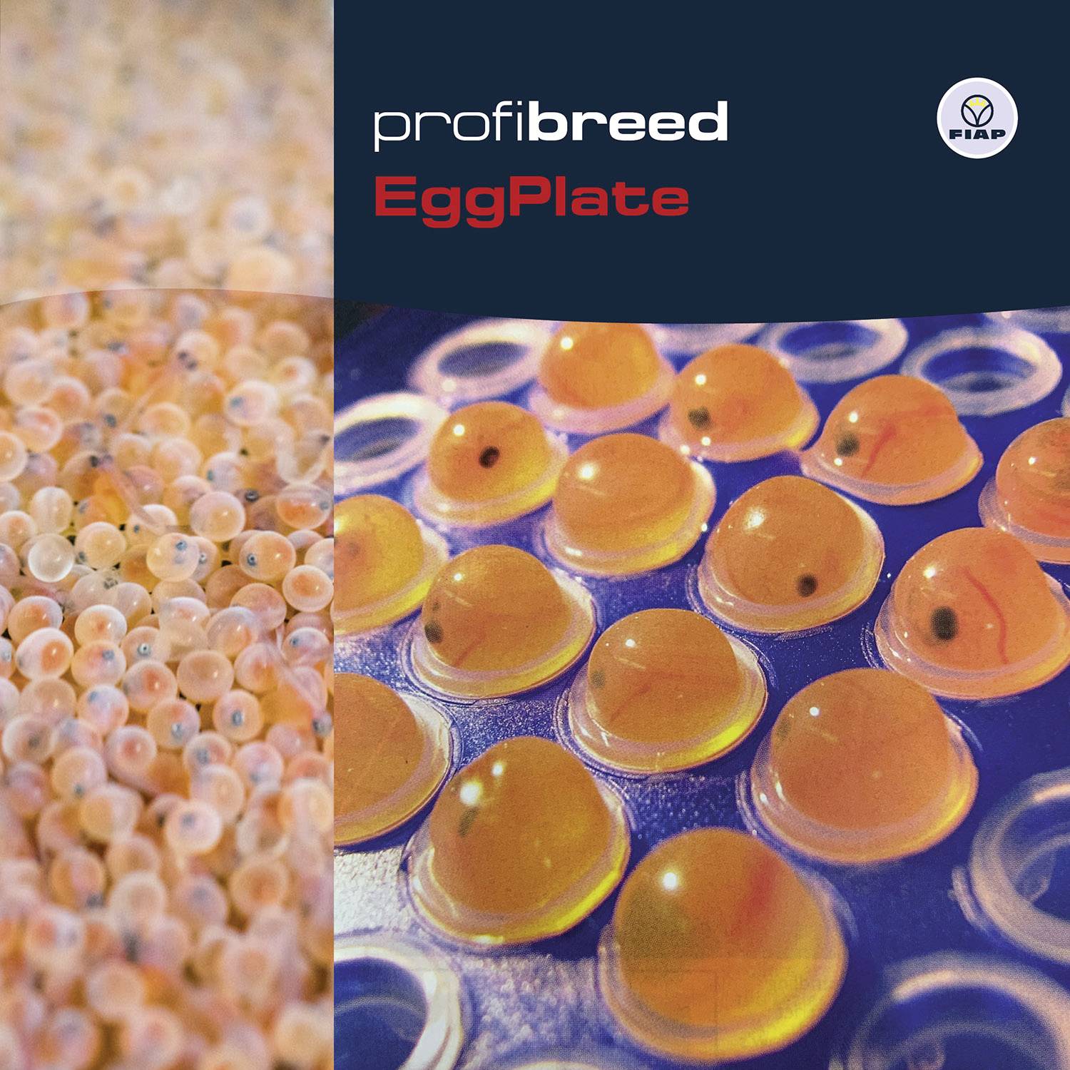 Produkt 'EggPlate' od společnosti profibreed popisuje desku s rybími vajíčky na namodralých deskách, prezentovaných firmou FIAP.