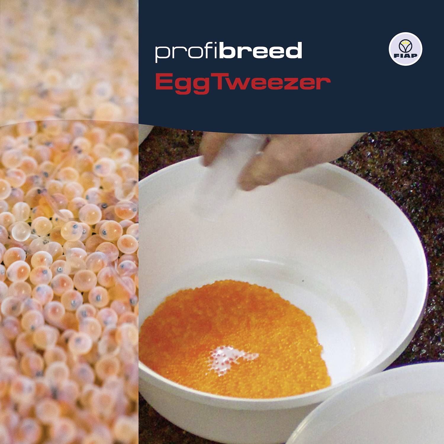 Rybářské příslušenství: 'profi breed Egg Tweezer'. Detailní záběr rybích jiker v misce, vedle ruka držící bílý nástroj.