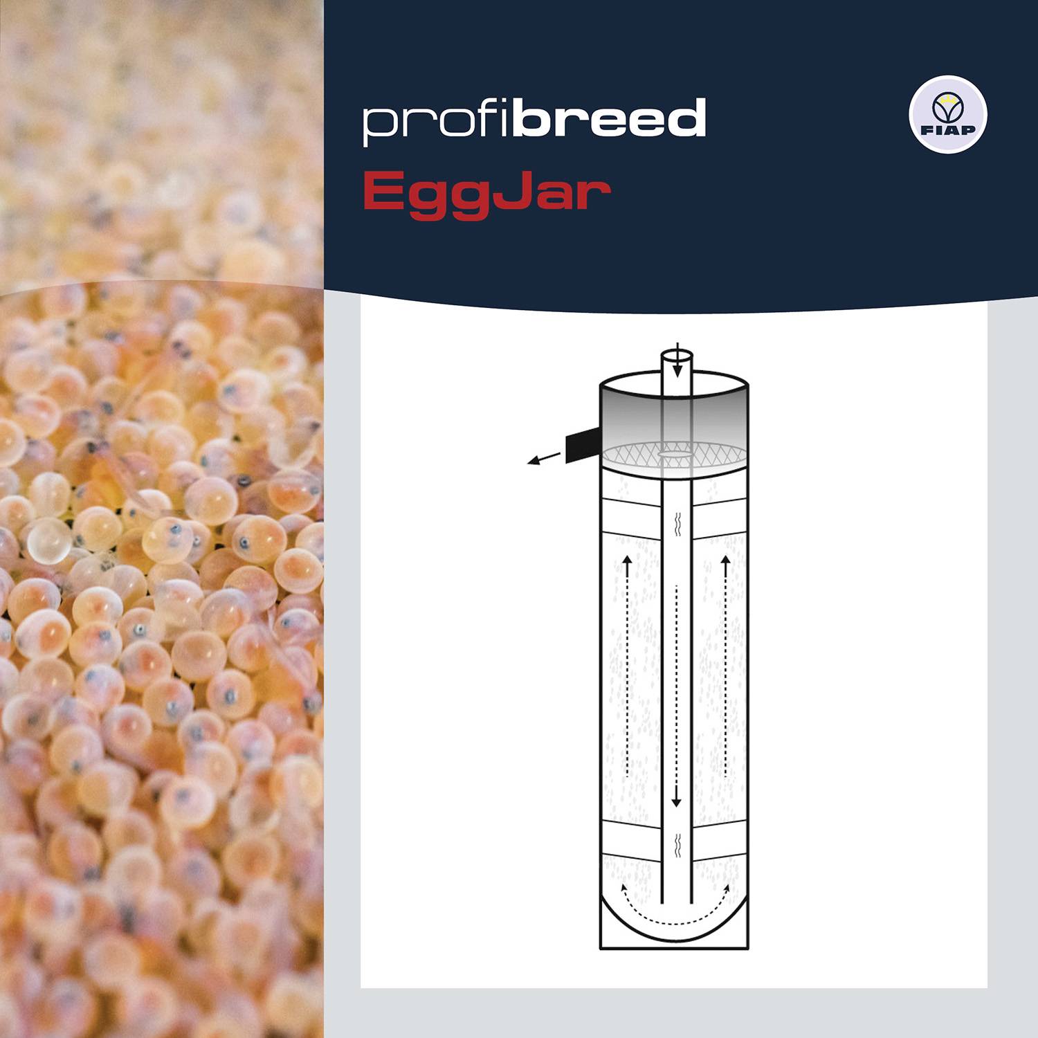 Oranžové rybí vajíčka v válci. Diagram znázorňuje proudění vody. Text: Profibreed EggJar.