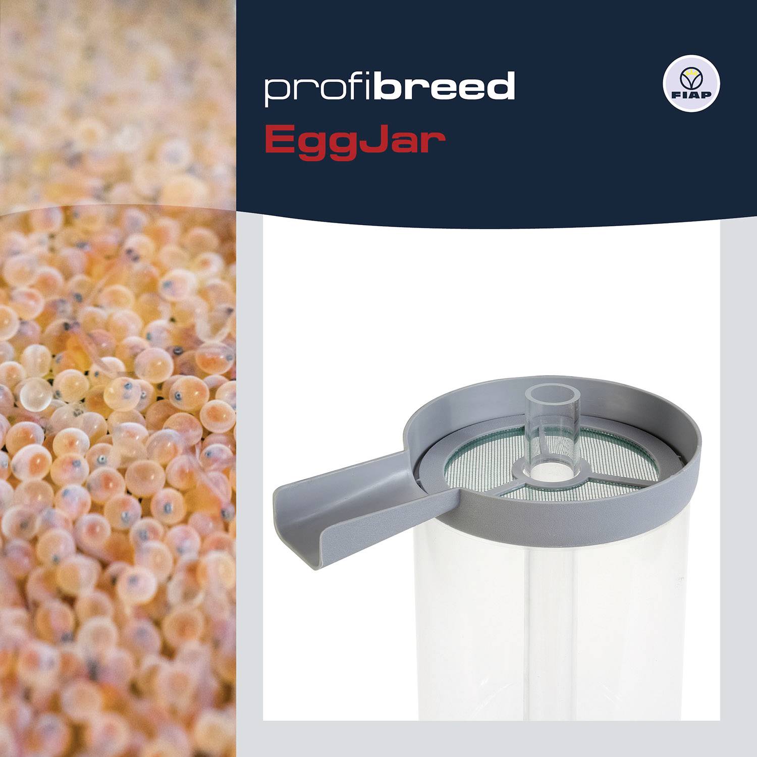 Rybí ikry vedle inkubačního kontejneru pro vejce od společnosti 'profibreed' nazvaného EggJar. Firemní logo je zobrazeno v pravém horním rohu.
