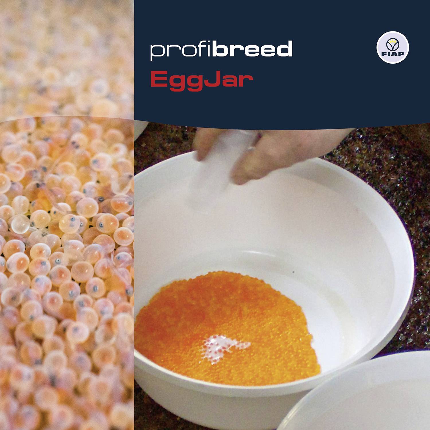 Nádoba s oranžovými rybími jikrami, označená štítkem 'profi breed EggJar', ukazuje proces rozmnožování ve vodním prostředí.