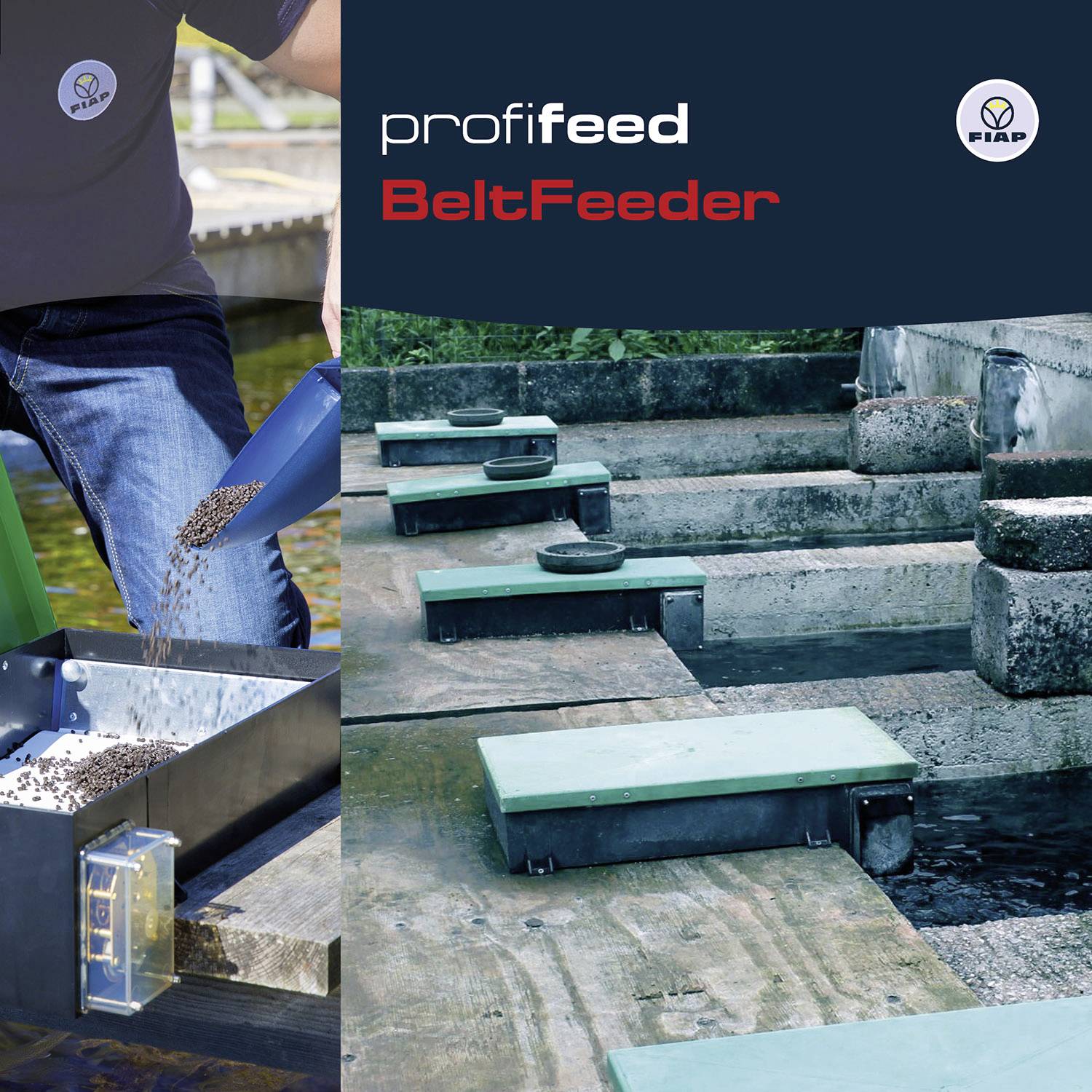Osoba krmí ryby pomocí automatického zařízení na venkovním rybochovném zařízení. Text na zařízení: 'profifeed BeltFeeder'.