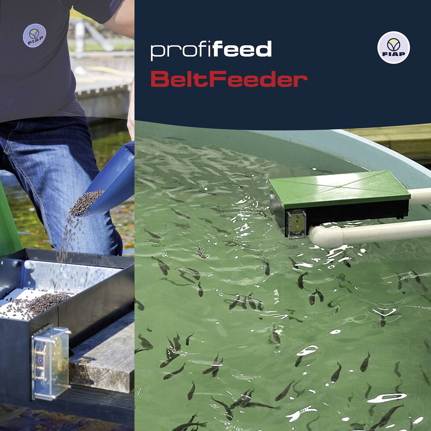 Vlevo: Osoba sype rybí krmivo na dopravní pás. Vpravo: Kulatý bazén s plavajícími rybami. Nahoře vpravo logo 'BeltFeeder'.