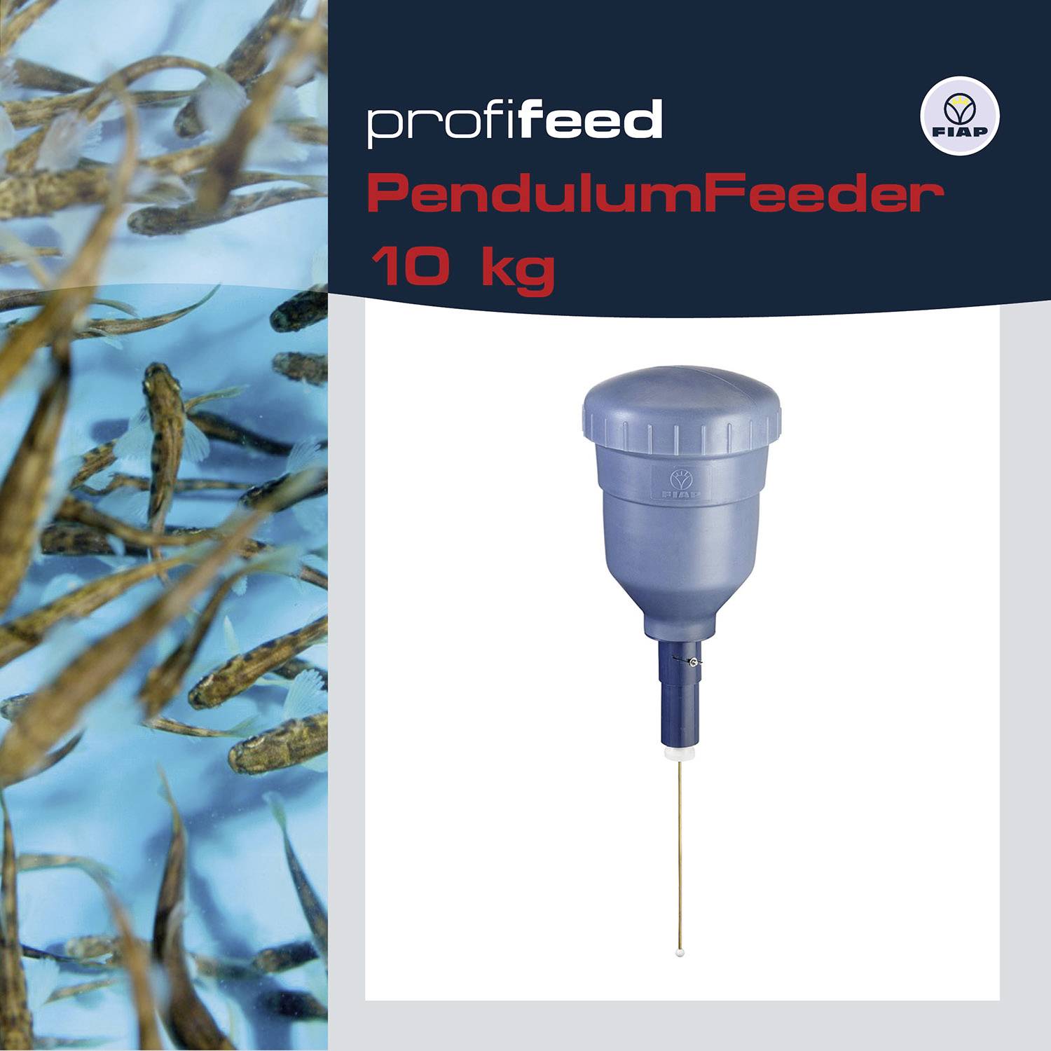 Vlevo: 'Několik ryb ve vodě'. Vpravo: 'Profifeed PendulumFeeder 10 kg', modrý krmný systém pro ryby.