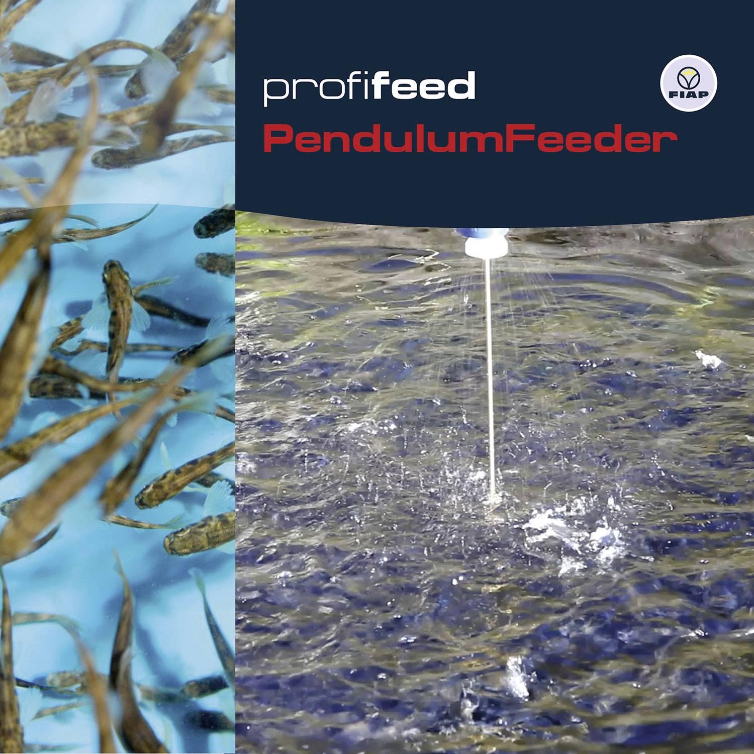 Logo 'Profifeed PendulumFeeder' je výrazně umístěno v horní pravé části. Vlevo jsou hejny ryb ve vodě, vpravo kapky vody z krmného zařízení.