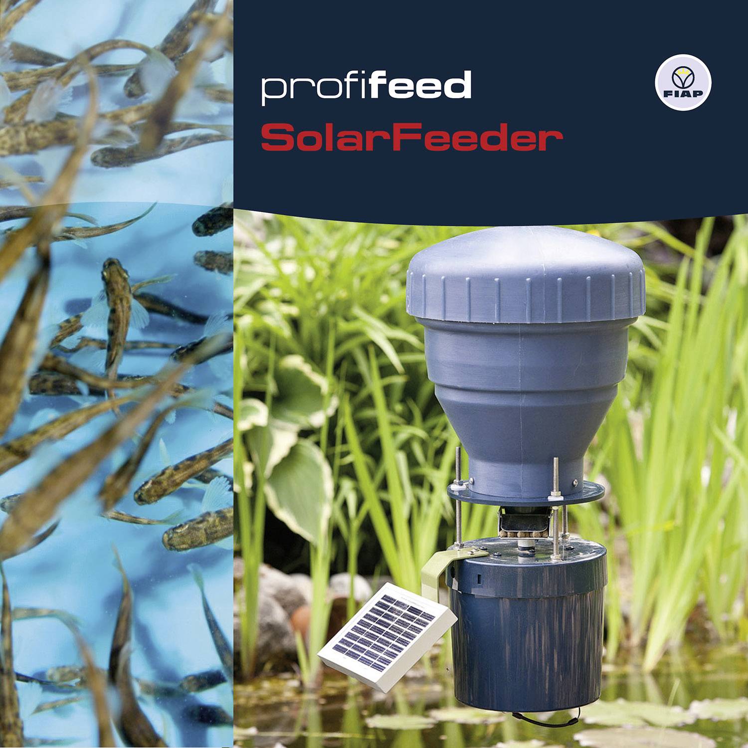 'profifeed SolarFeeder' Solární krmítko pro ryby umístěné vedle rybníka s rybami, solární panel je viditelný.
