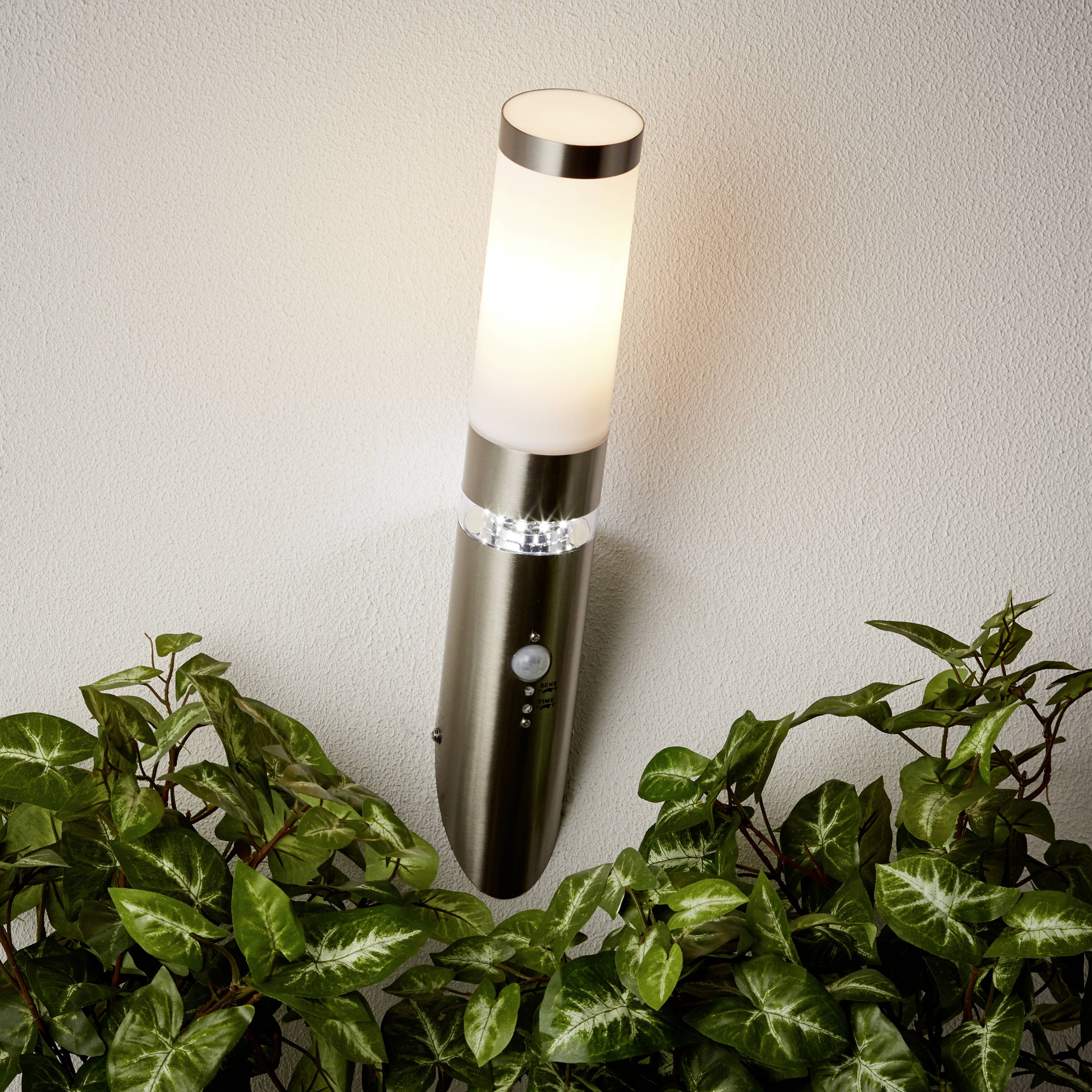 Moderní nástěnná lampa s válcovým bílým stínidlem, rozsvícená a umístěná na stěně nad zelenými listnatými rostlinami.