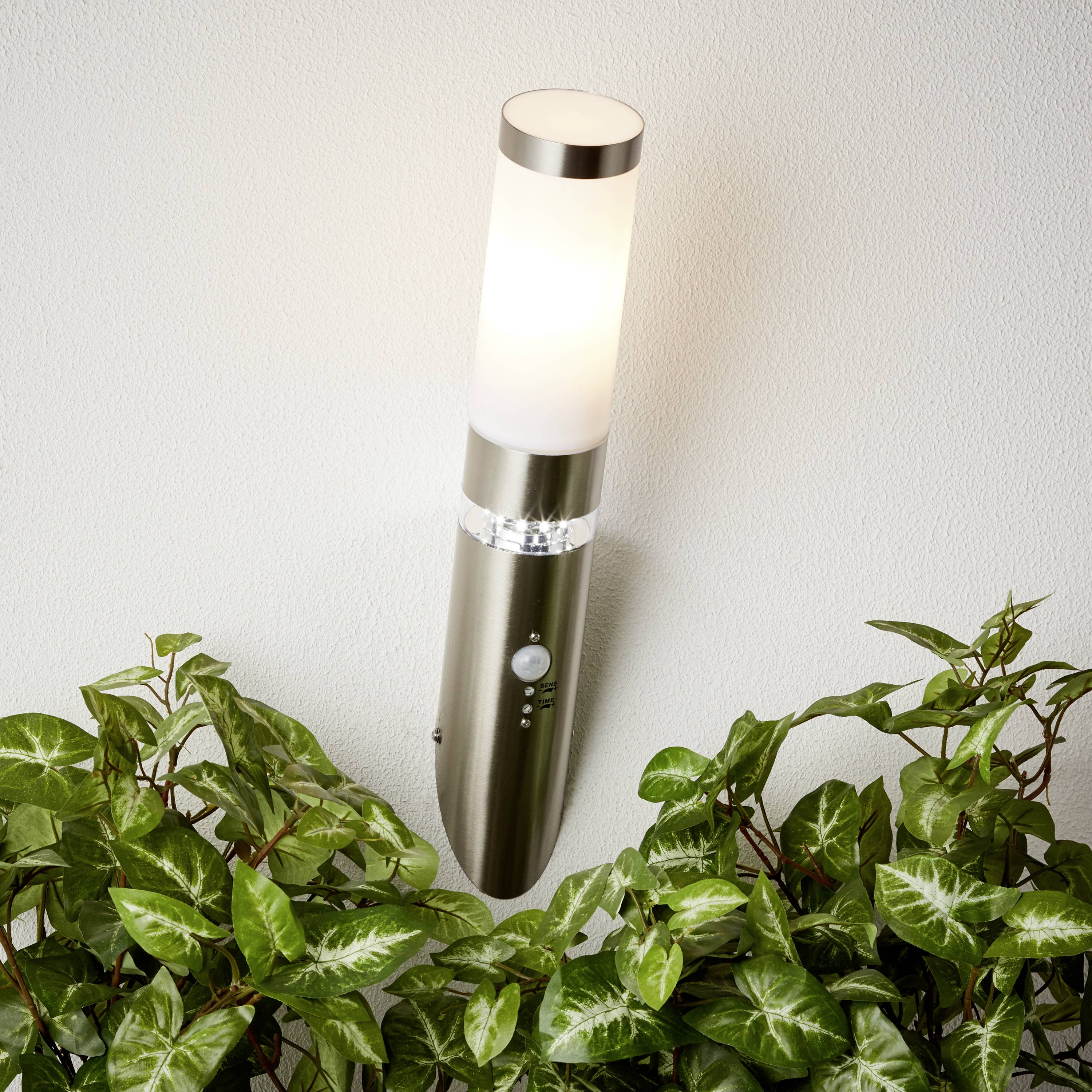 Moderní nástěnná lampa z nerezové oceli osvětluje zelenou rostlinu na stěně a vytváří útulnou atmosféru v místnosti.