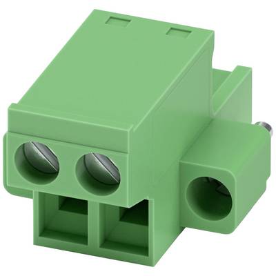 Zelená elektrická zástrčka se dvěma připojovacími otvory a obdélníkovým tvarem, vhodná pro propojení elektrických vodičů.