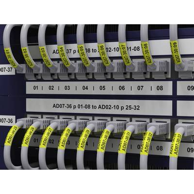 Přípojky v serverové skříni, očíslované od '01' do '08', uspořádané ve dvou řadách. Kabely jsou označeny žlutými štítky.