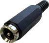 BKL Electronic 072208 nízkonapěťový konektor zásuvka, rovná 5.5 mm 2.1 mm 1 ks