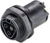 Wieland Electric 96.021.5053.1 kulatý faston, 1 ks