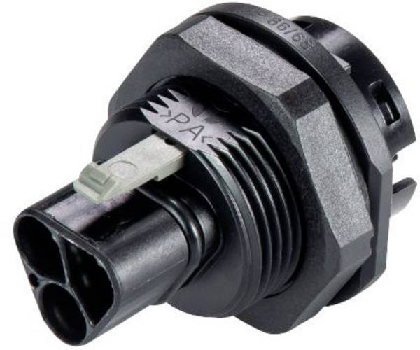 Wieland Electric 96.032.1053.1 kulatý faston, 1 ks