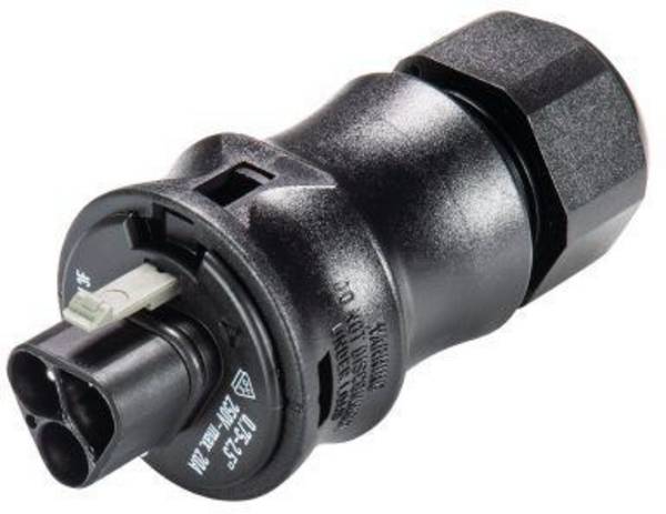 Wieland Electric 96.032.0053.1 kulatý faston, 1 ks