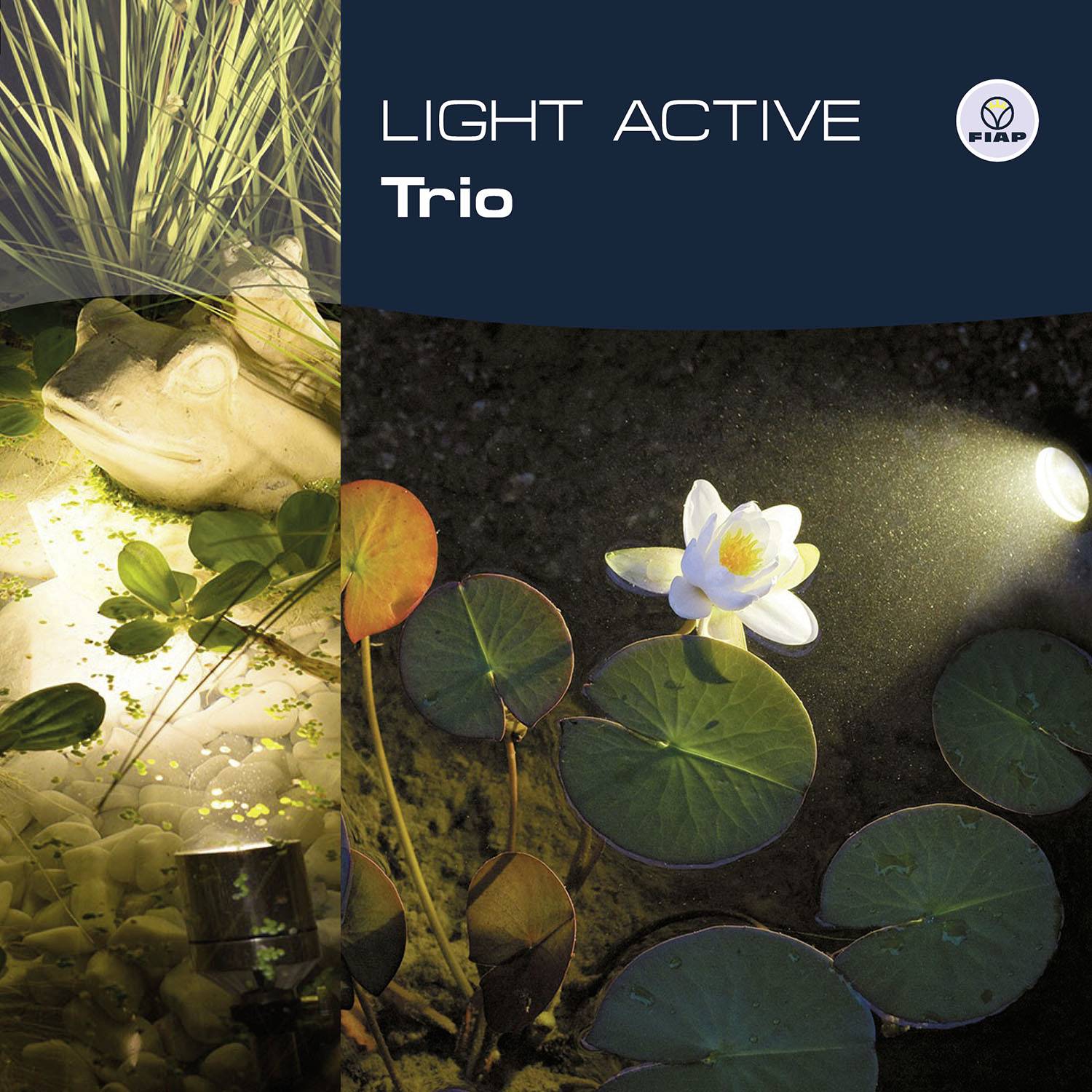 Světlo 'LIGHT ACTIVE Trio' osvětluje listy leknínu a květ v rybníce v noci. Vlevo jsou vidět rostliny a socha žáby.