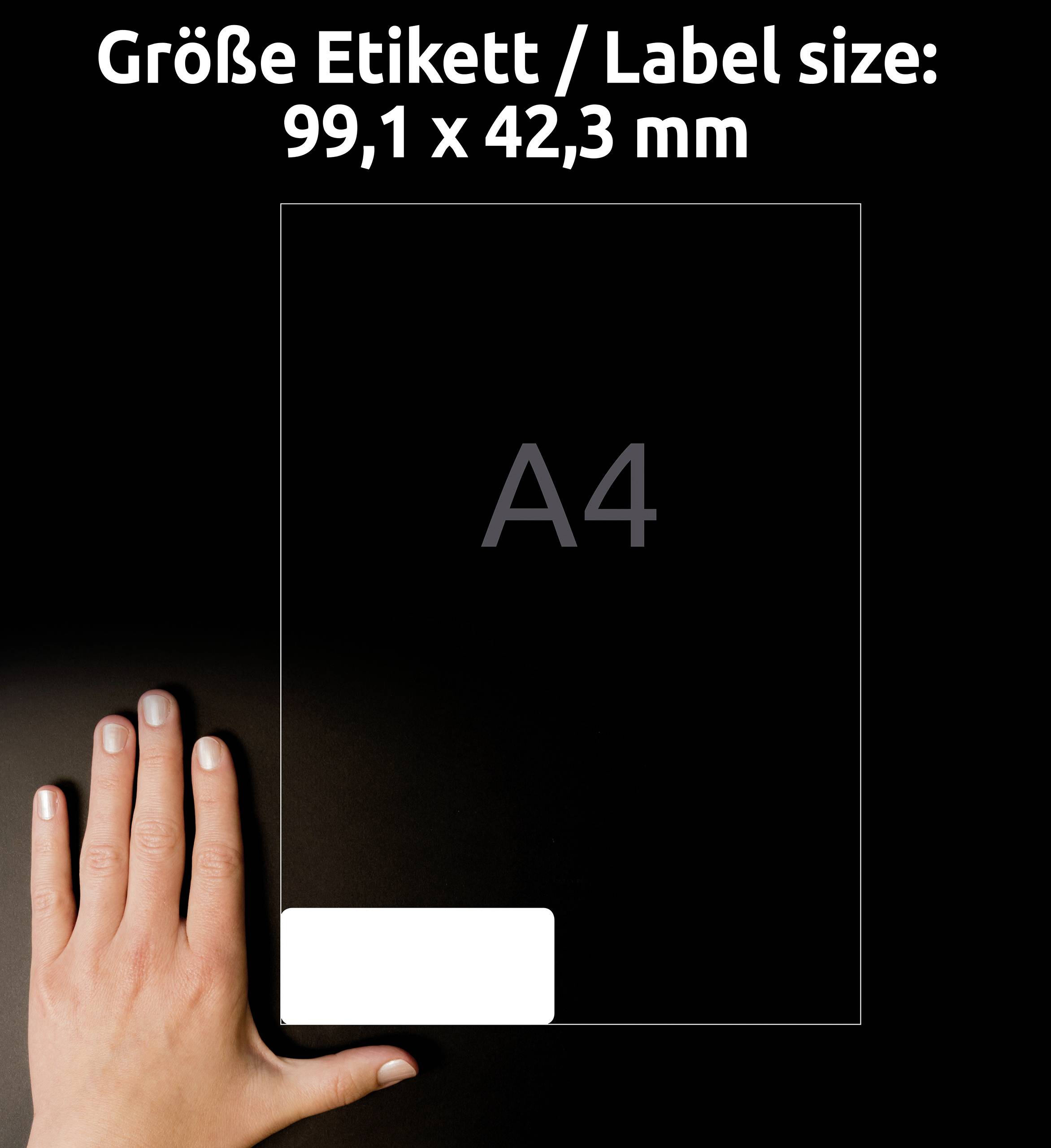 Jedna ruka ukazuje na průhledný obdélník s nápisem 'A4'. Nahoře stojí: 'Velikost etikety / Label size: 99,1 x 42,3 mm'.