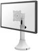Neomounts FPMA-D025SILVER držák na stůl pro monitor 1 Displej: (s) 25,4 cm (10") - 76,2 cm (30") stříbrná nastavitelná výška, naklápěcí, otočný