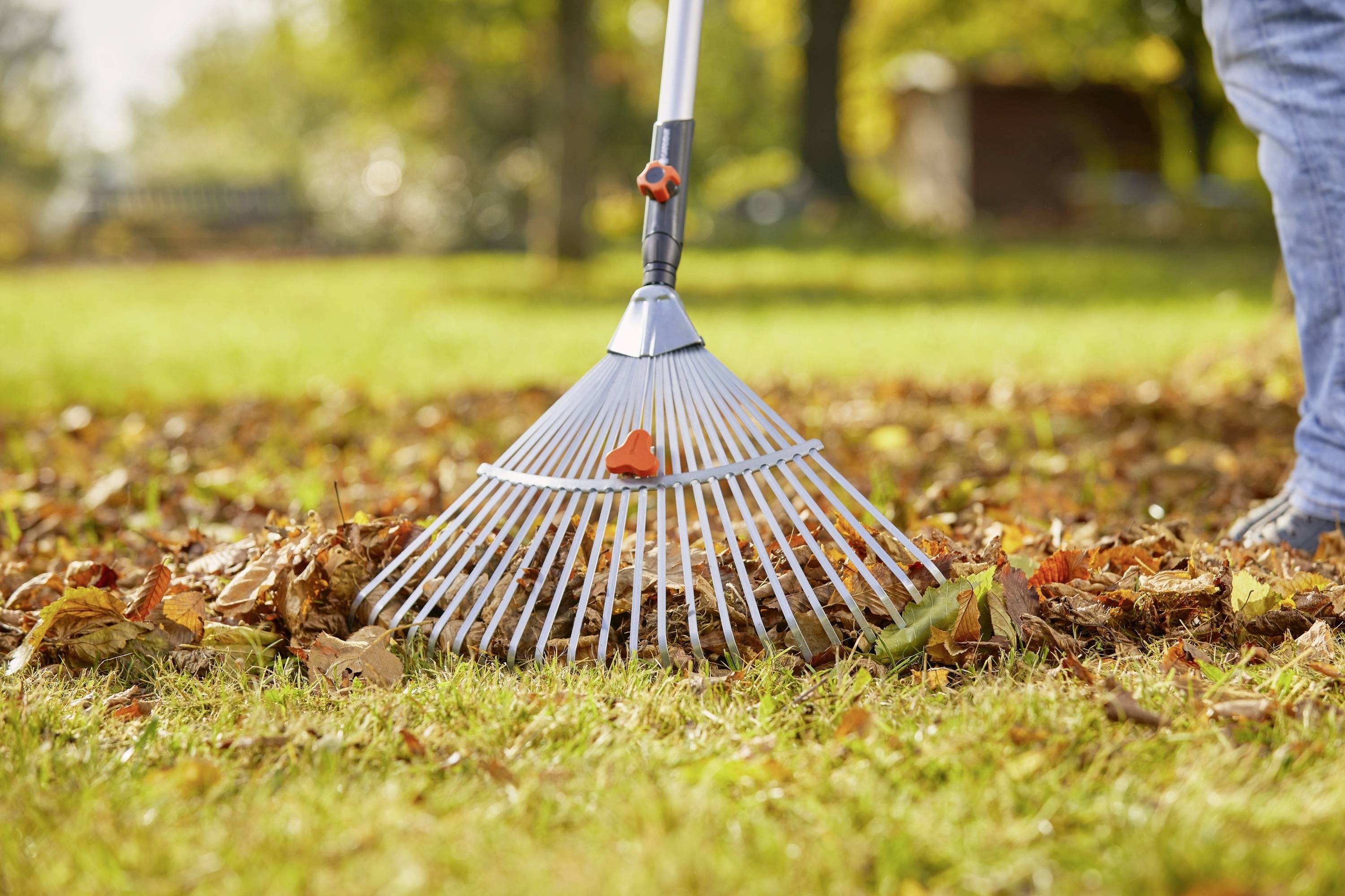 Osoba používá hrábě ke sběru podzimního listí na trávníku. V pozadí jsou viditelné stromy a tráva.