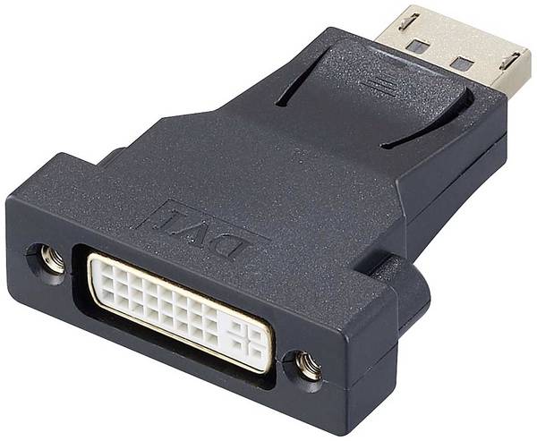 DisplayPort / DVI adaptér k monitoru Renkforce  RF-4212237, černá